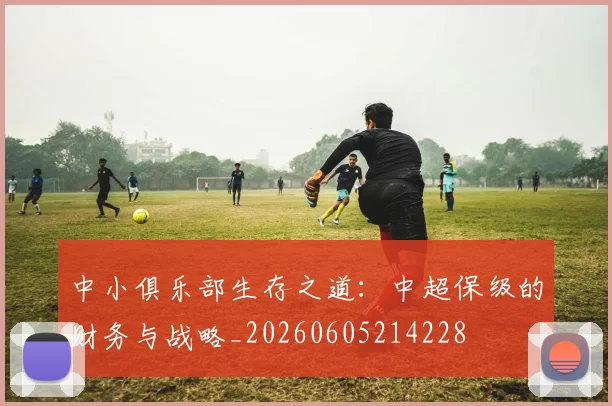 中小俱乐部生存之道：中超保级的财务与战略_20260605214228